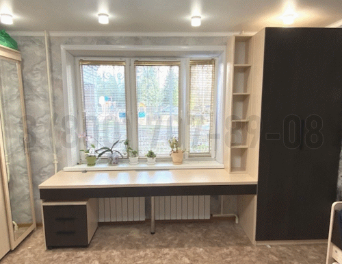 Рабочая зона модель r106 купить в Лыткарино
