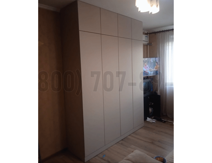Шкаф в стиле минимализм в Лыткарино
